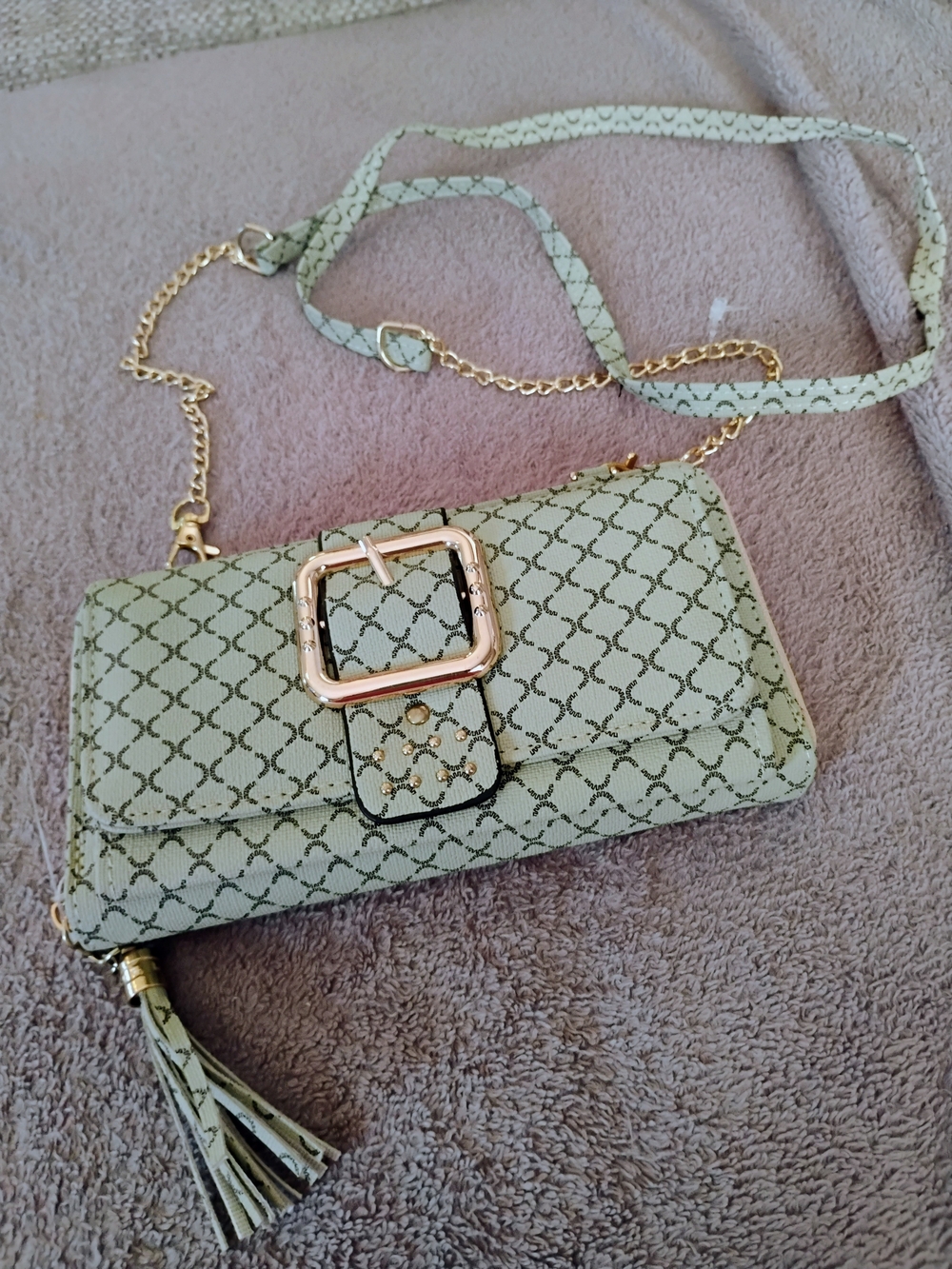 Stylish Mint Patterned Crossbody Bag with Gold Buckle